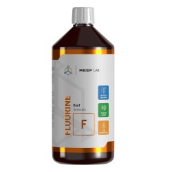 Fluorine (F)